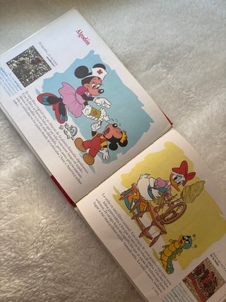 Dos libros “es divertido conocer” Walt Disney