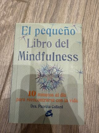El pequeño libro del Mindfulness
