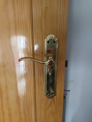 Puerta de madera maciza