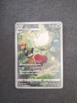 Roserade chr #068 jap pack fresh