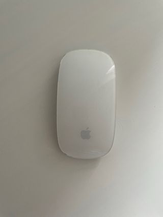 Raton apple 