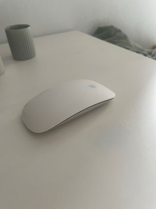 Raton apple 