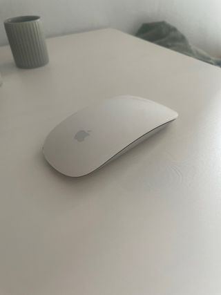 Raton apple 