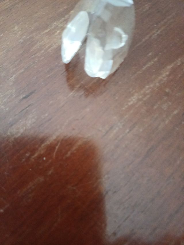 Conchiglia Swarovski vintage con perla