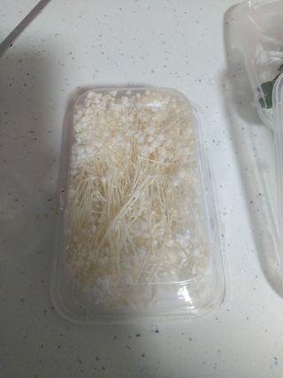 FLORES SECAS MANUALIDADES