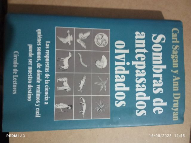 TODOS LOS QUE SE VEN EN LA FOTO