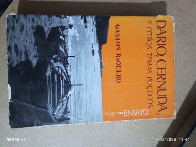 TODOS LOS QUE SE VEN EN LA FOTO