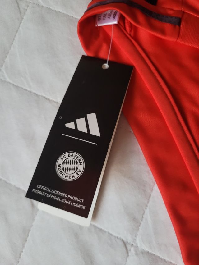 Maglia bayern monaco 2024