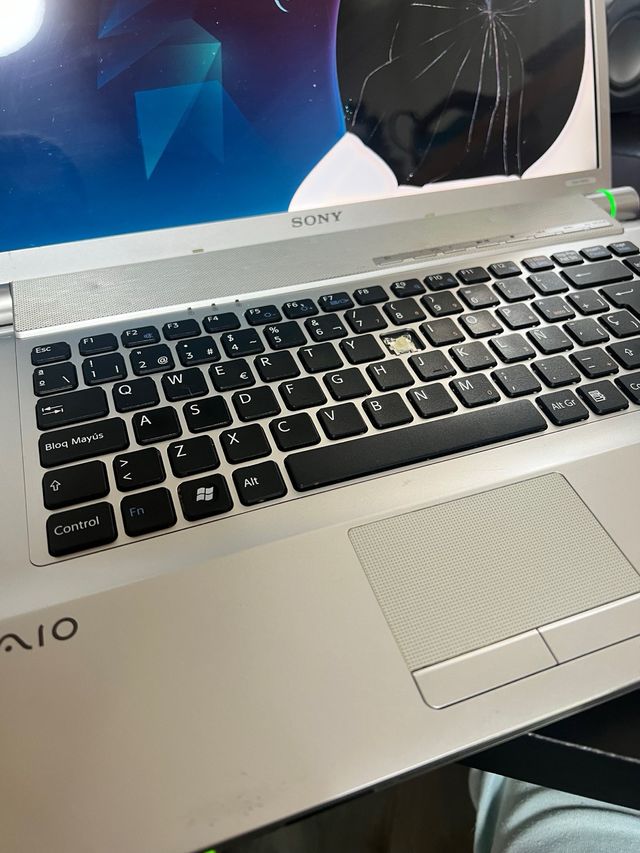 Sony Vaio vgn-fw21l