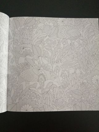 Libro colorear estilo mandala para adultos/niños 