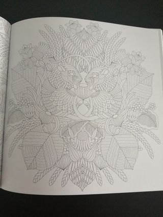 Libro colorear estilo mandala para adultos/niños 