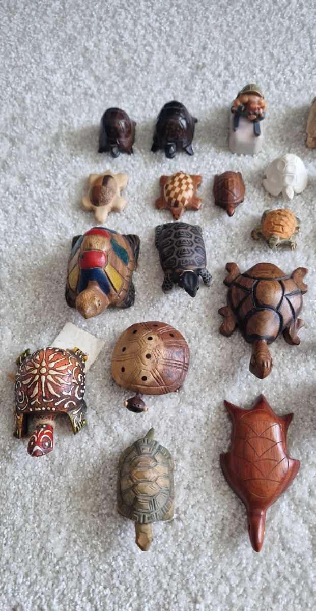 Collezione Tartarughe in legno RICHIEDERE PREZZO