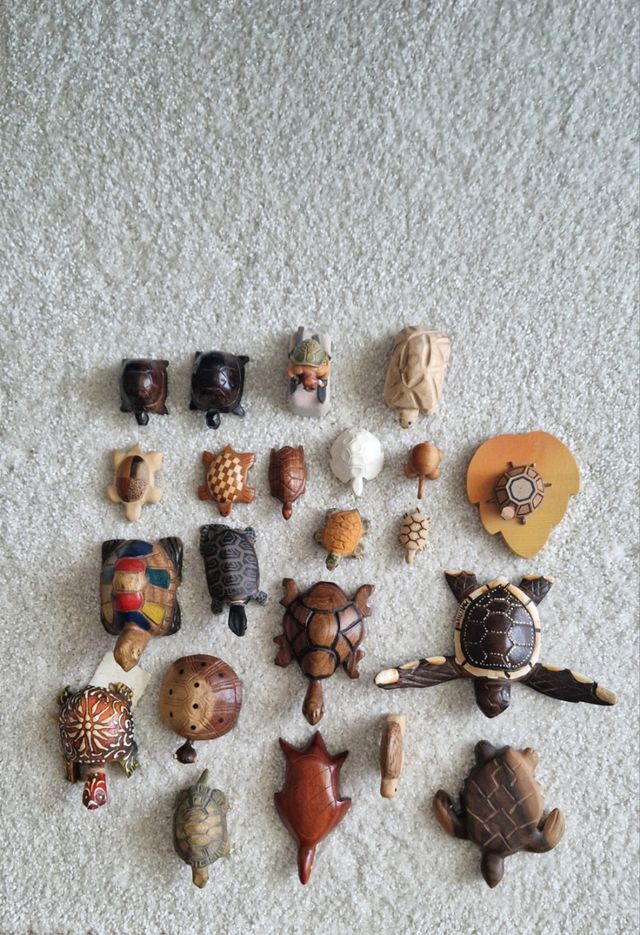 Collezione Tartarughe in legno RICHIEDERE PREZZO