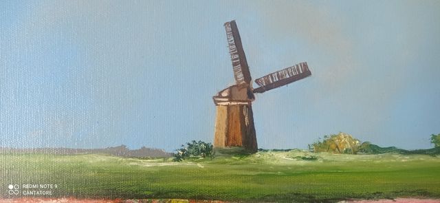 Quadro Olio su Tela - Mulino & Tulipani