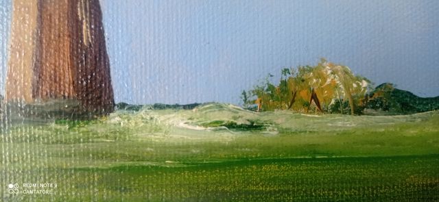 Quadro Olio su Tela - Mulino & Tulipani