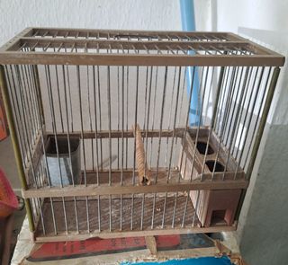 Jaula pajaro