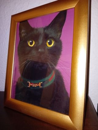 Gatto nero Cuadro con collana verde