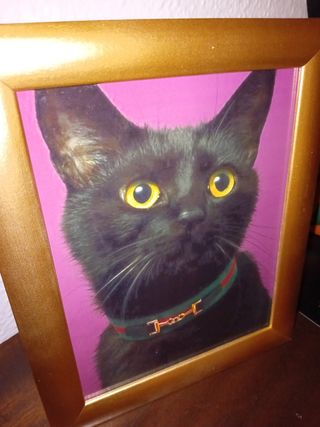 Gatto nero Cuadro con collana verde