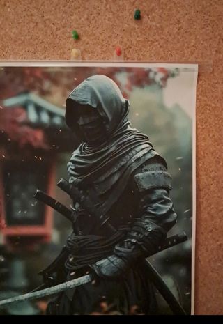 Posters de Ninja 30x45cm