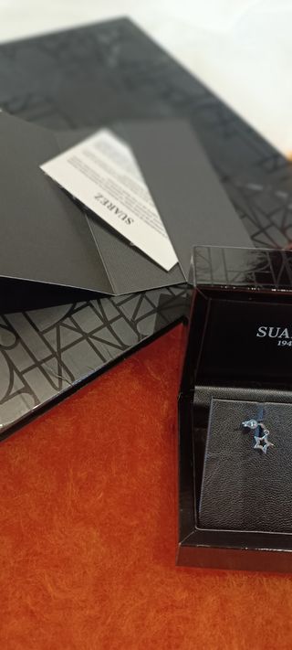 Pendientes Suárez 