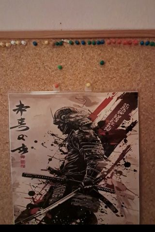 Posters de Samurai 30x40cm