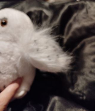 Harry Potter: Peluche Hedwig