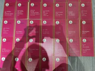 Colección de 33 libros de literatura clásica.