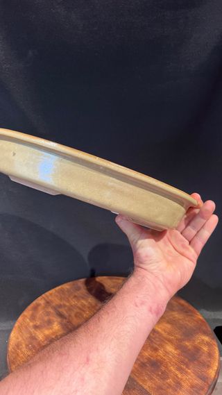 MACETA BONSAI OVALADA Color kaki.