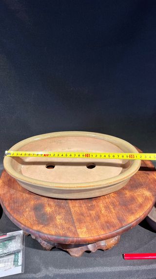 MACETA BONSAI OVALADA Color kaki.