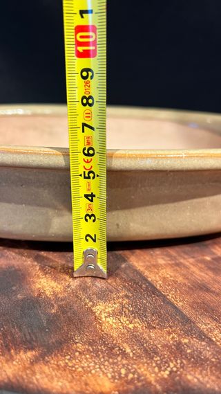 MACETA BONSAI OVALADA Color kaki.