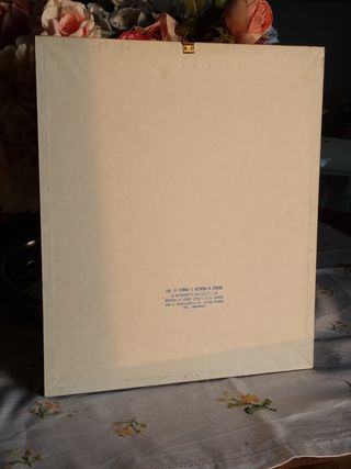 Stampa uccello Serin Finch.