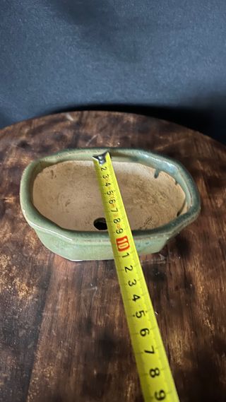 MACETA BONSAI RECTANGULAR / FLOR VERDE OLIVA MAME / SHOHIN