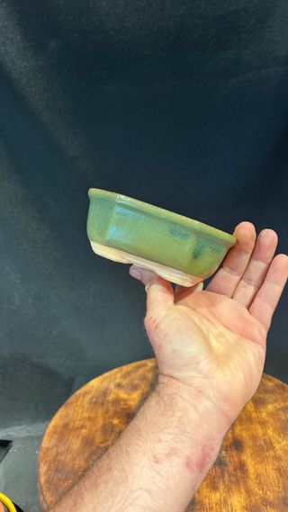 MACETA BONSAI RECTANGULAR / FLOR VERDE OLIVA MAME / SHOHIN