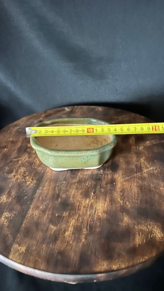 MACETA BONSAI RECTANGULAR / FLOR VERDE OLIVA MAME / SHOHIN