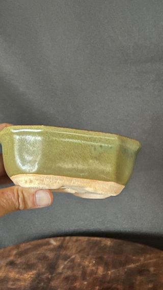 MACETA BONSAI RECTANGULAR / FLOR VERDE OLIVA MAME / SHOHIN