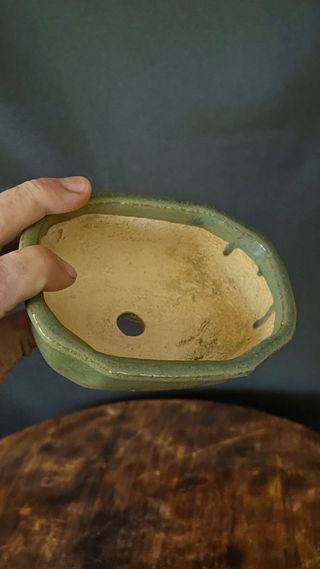 MACETA BONSAI RECTANGULAR / FLOR VERDE OLIVA MAME / SHOHIN