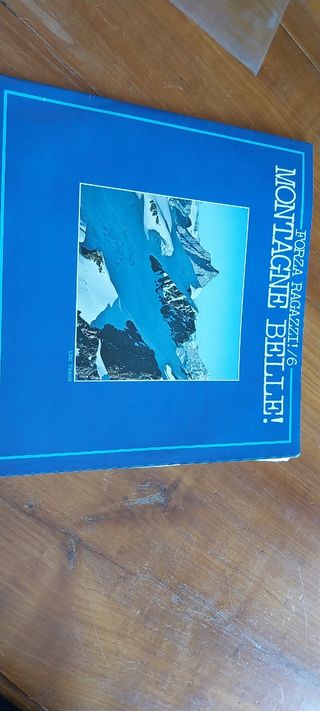 Vinile Forza Ragazzi - Montagne Belle
