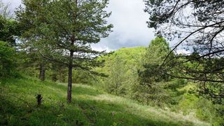 Terreno en venta en Moià