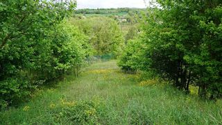 Terreno en venta en Moià