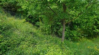 Terreno en venta en Moià