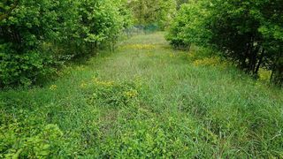 Terreno en venta en Moià