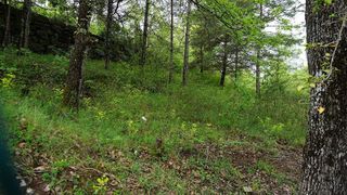 Terreno en venta en Moià