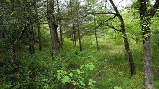 Terreno en venta en Moià