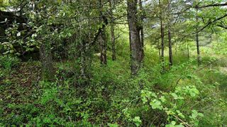 Terreno en venta en Moià