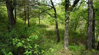Terreno en venta en Moià