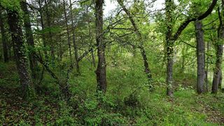 Terreno en venta en Moià