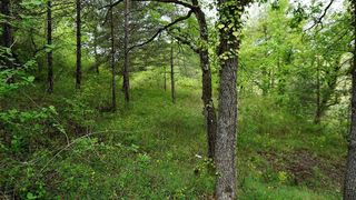 Terreno en venta en Moià