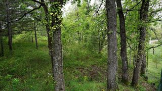 Terreno en venta en Moià