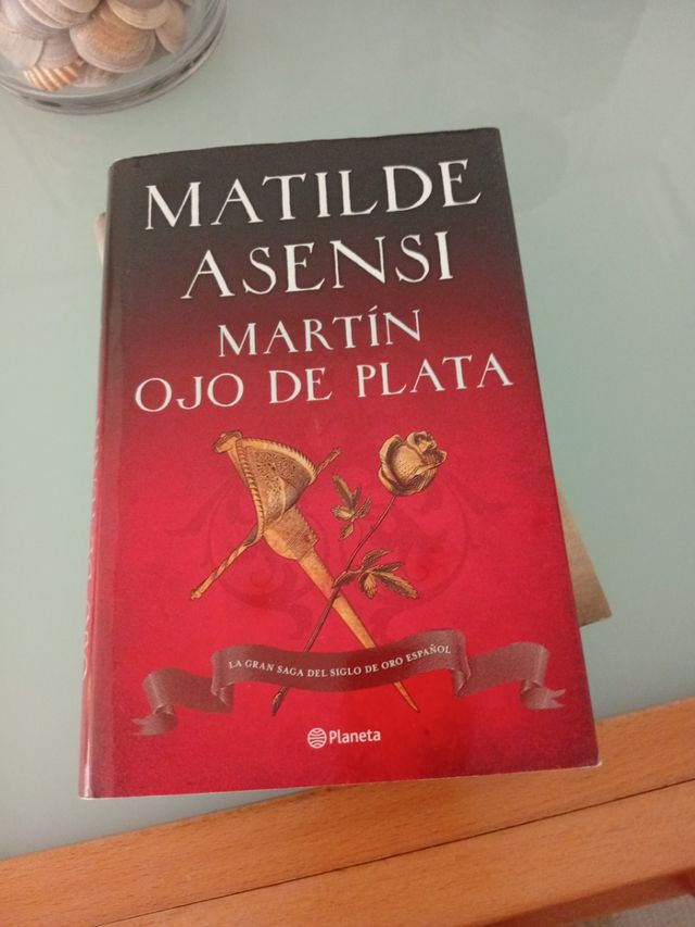 Martín Ojo de Plata: La gran saga del Siglo de ...