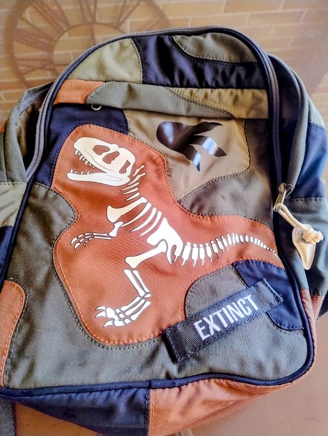 Mochila escolar dinosaurios Zara